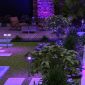 Modern Outdoor Light Fixtures 12V 6W Mushroom Design for Paths 2packs decoration1