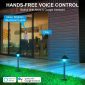 Modern Outdoor Light Fixtures 12V 6W Mushroom Design for Paths 2packs hands free